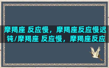 摩羯座 反应慢，摩羯座反应慢迟钝/摩羯座 反应慢，摩羯座反应慢迟钝-我的网站